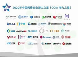 开云kaiyun-包含“未来之星：潜力无限的年轻球员揭秘”的词条