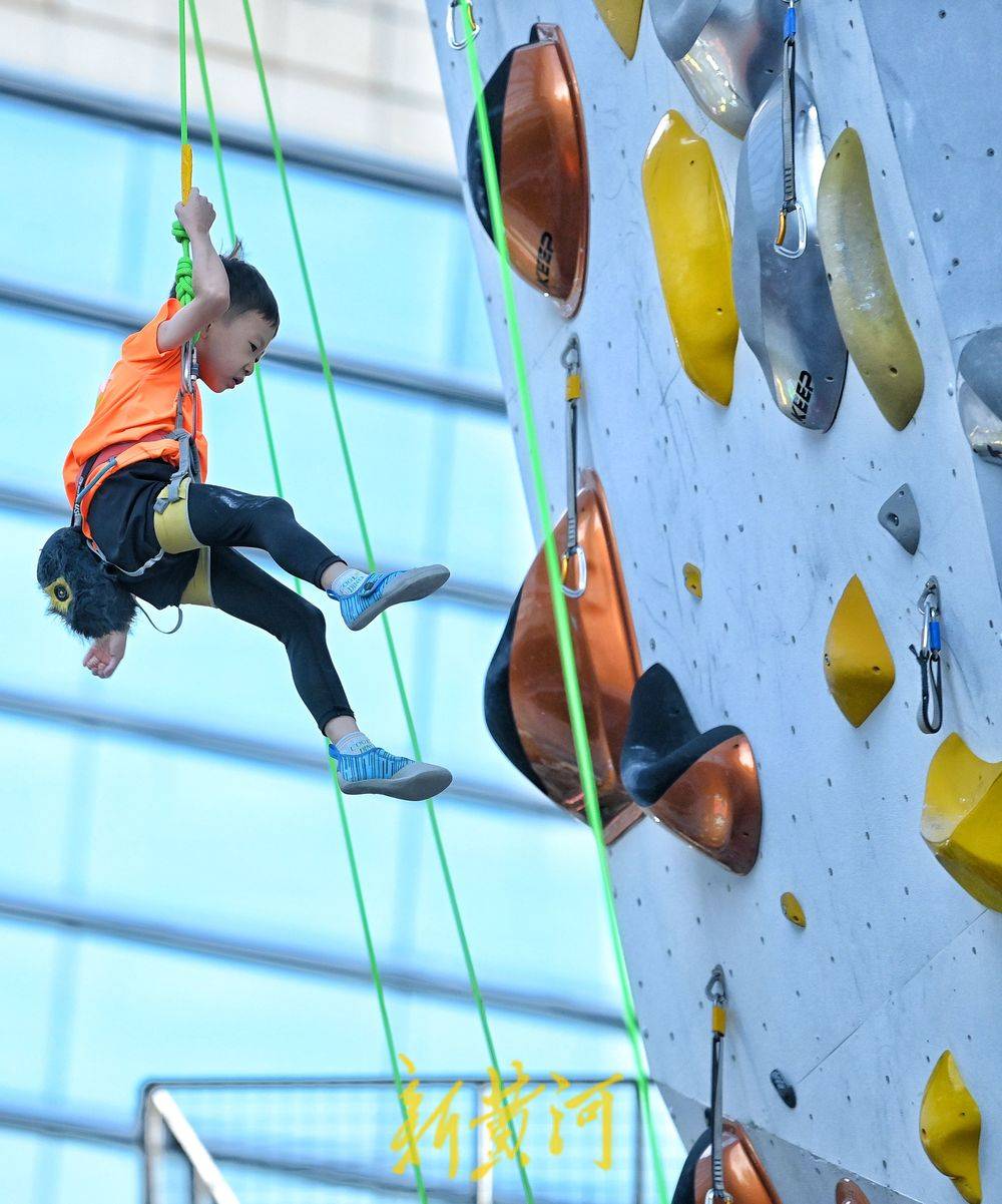 关于野外炮弹竞技攀岩，勇攀高峰的极致极限的信息