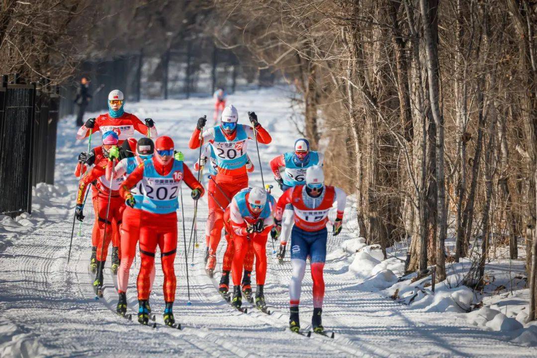 开云体育-包含冬季越野滑雪，雪白世界的速度冒险的词条