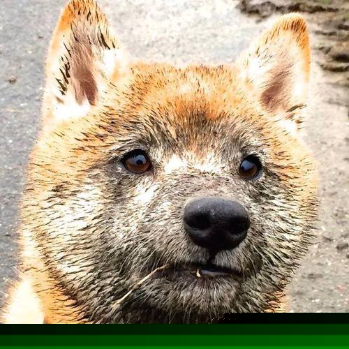 _世界极限运动公开赛:勇者的荣耀时刻_,世界极限运动视频集锦