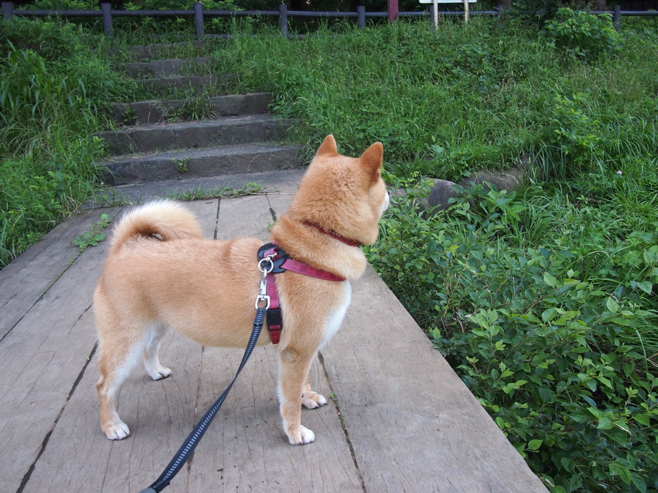 开云网页版登录入口-_运动助贫：公益扶贫运动热潮不断_，扶贫公益活动策划方案