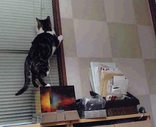 开云官方网页登录-《竞技场景的未来：虚拟现实与增强现实的结合》，现场竞技类小游戏