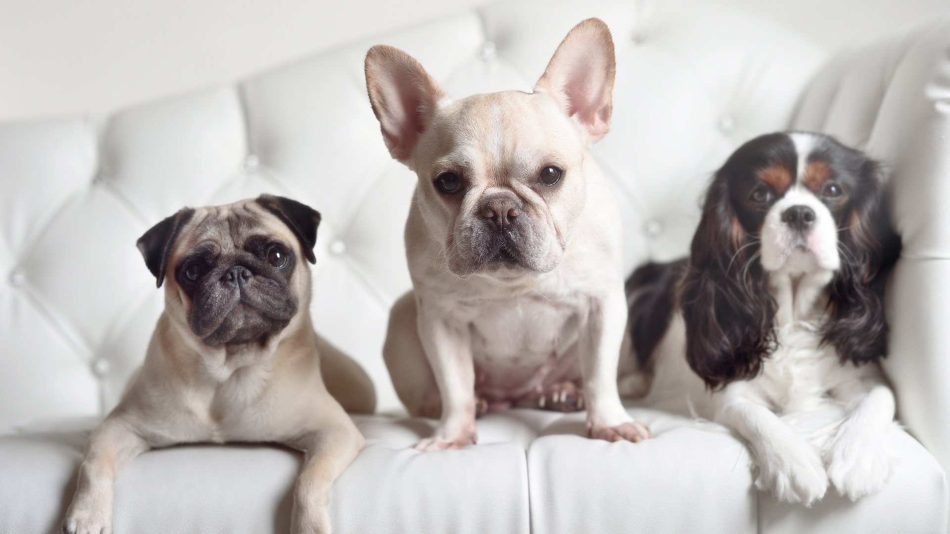 赛场公益主题日：传递正能量，正能量公益活动名字大全