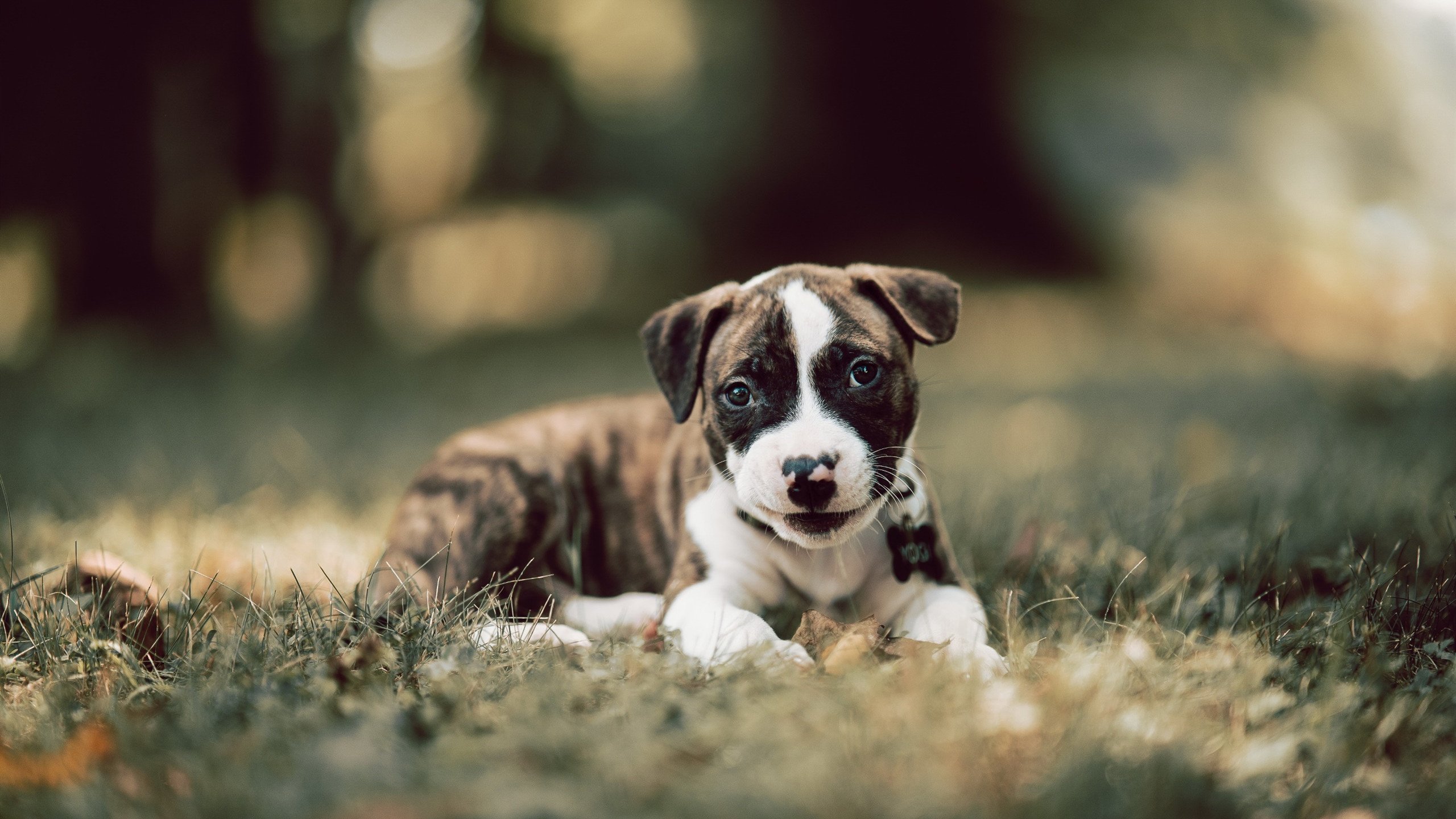 kaiyun中国官方网站-山东男篮客场轻取胜利，积分稳固，山东男篮豪取4连胜