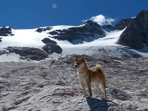 KAIYUN 中国大陆-瑞典前锋奉献绝杀，助球队逆转胜利，瑞典最新阵容