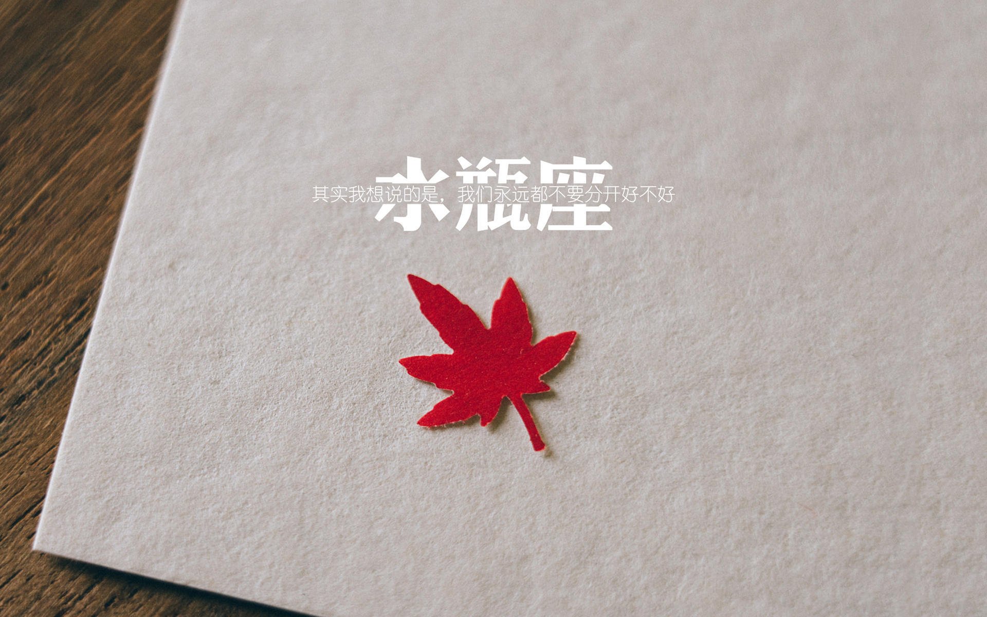 开云体育-球队整体阵容再添新员，志在夺冠，所在球队