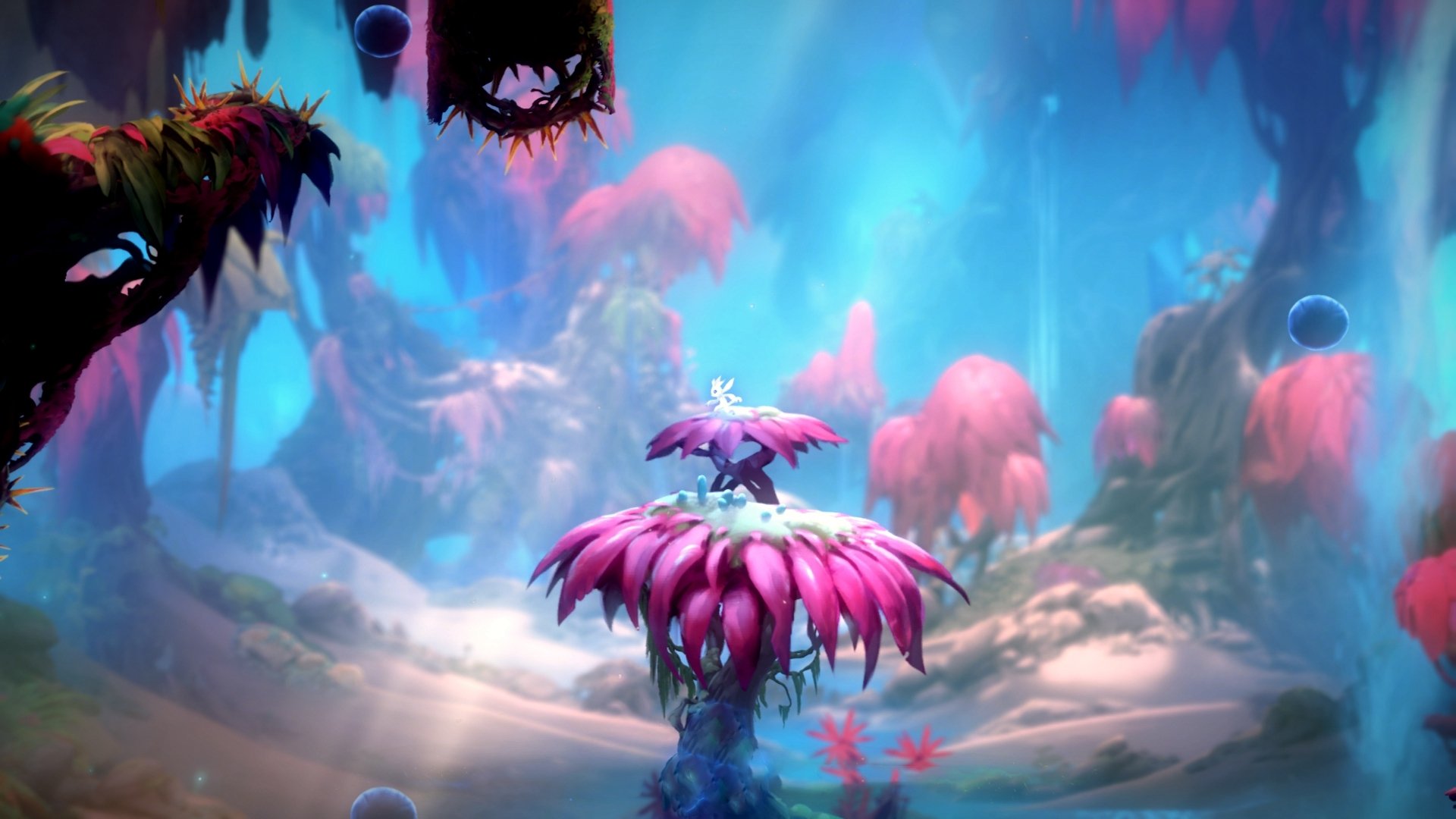 福建队壮士断腕,全力备战下一场,福建队队长