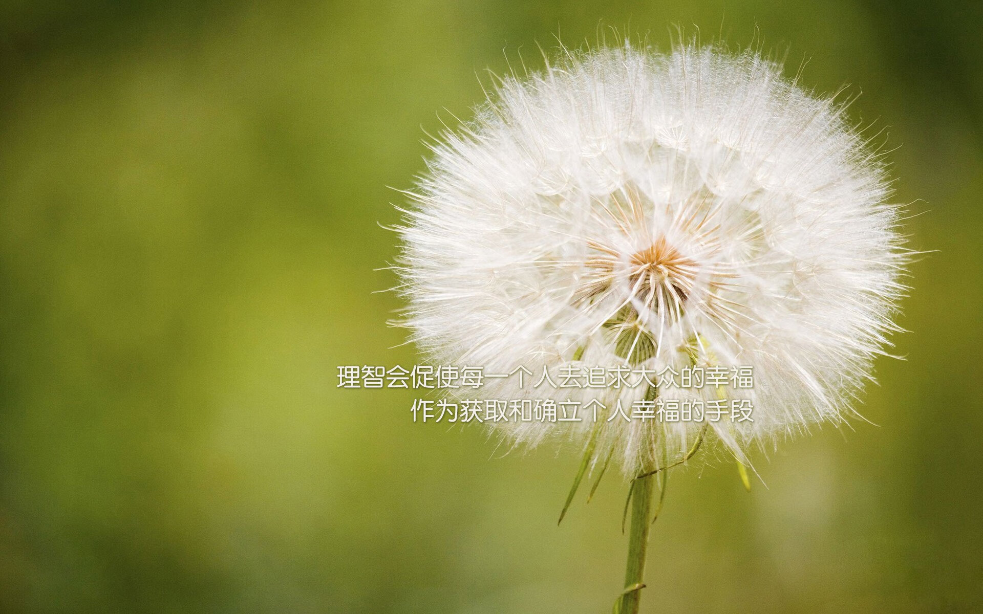 kaiyun网站-中国男篮重视热身赛战术演练价值，中国男篮热火