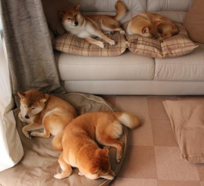 体育新闻中心参与高校体育新闻数字教材开发,体育新闻课程