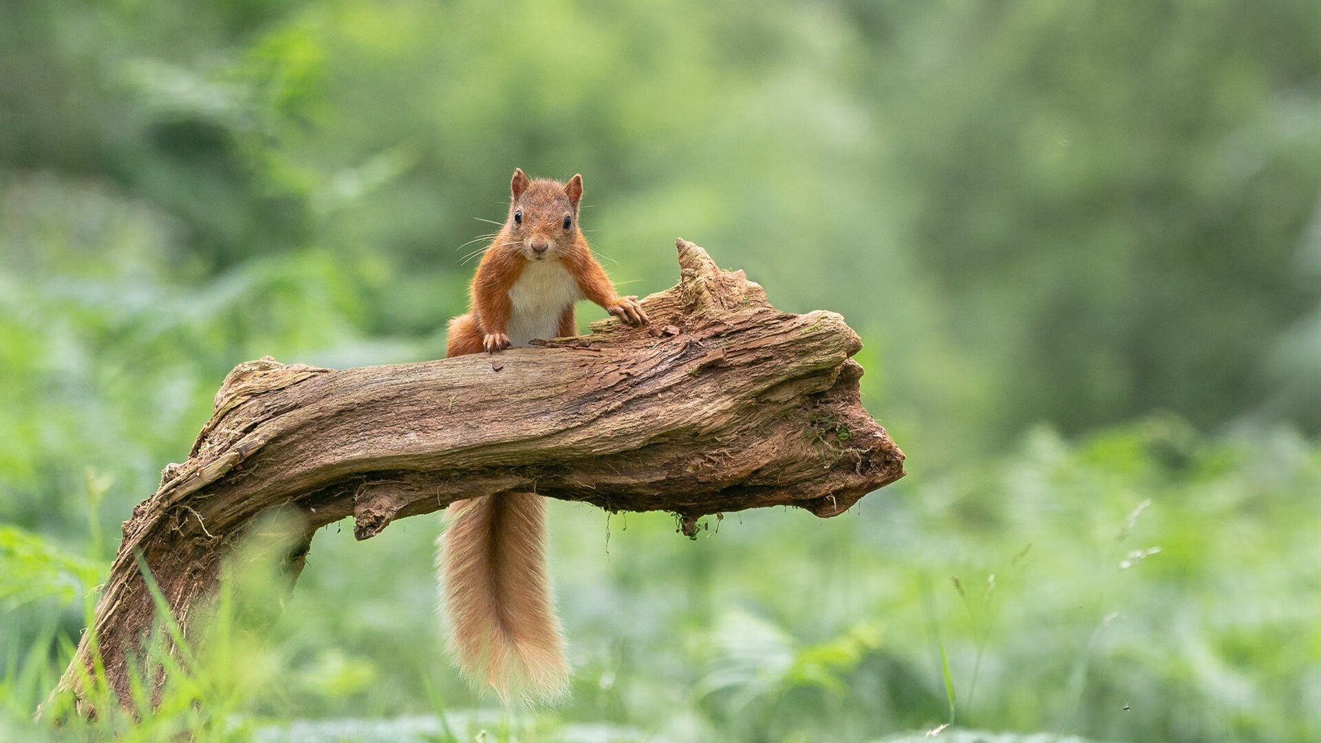 青训基础设施建设亟待加快,青训基础设施建设亟待加快推进