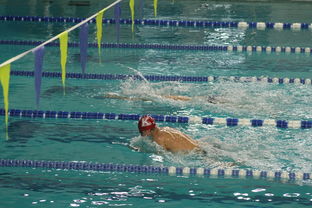 开云网页版登录入口-张雨霏自由泳赛段发力迅速，张雨霏自由泳实力