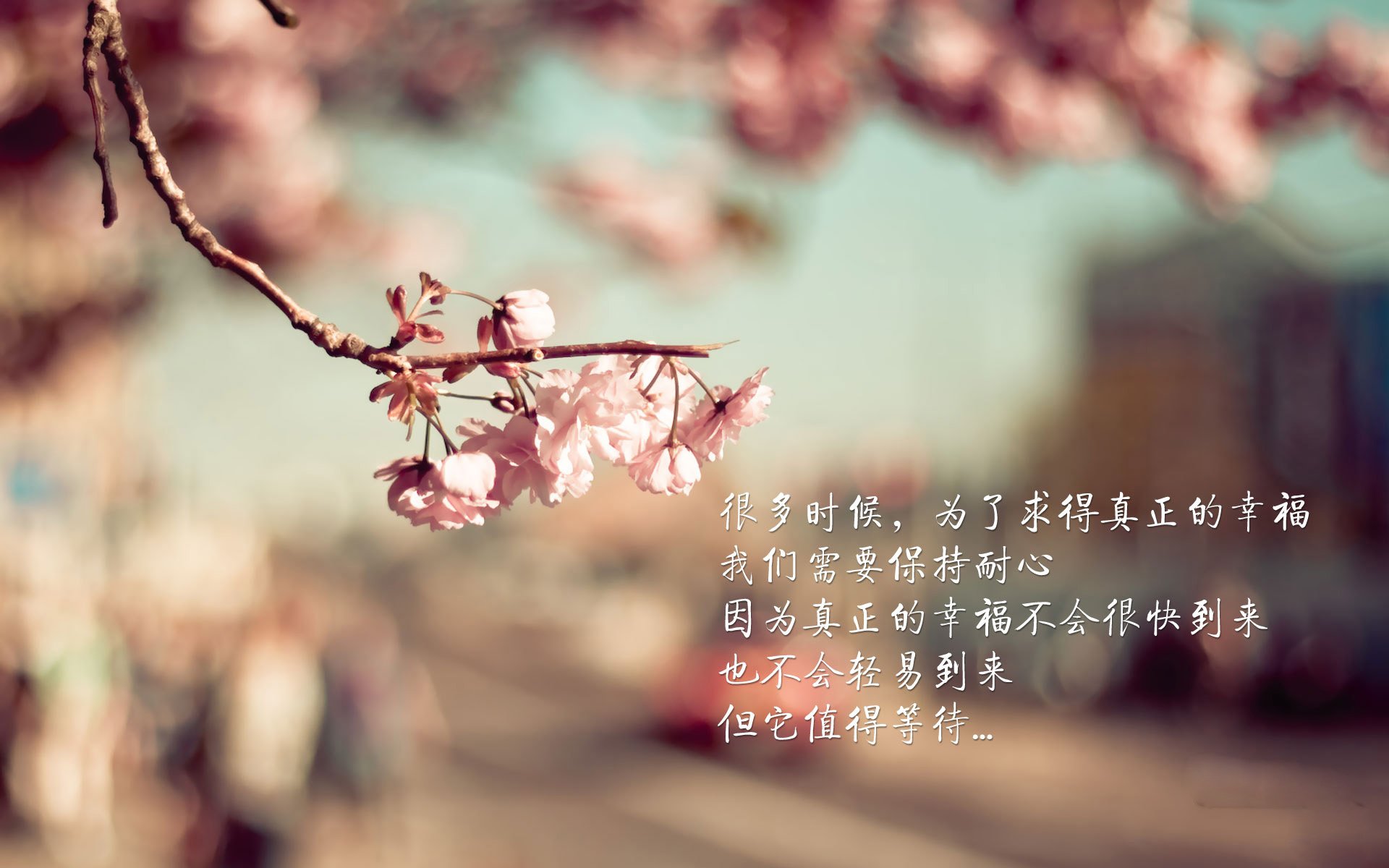 格鲁吉亚女篮在欧洲锦标赛中再夺佳绩，继续突破自我，格鲁吉亚女子联赛