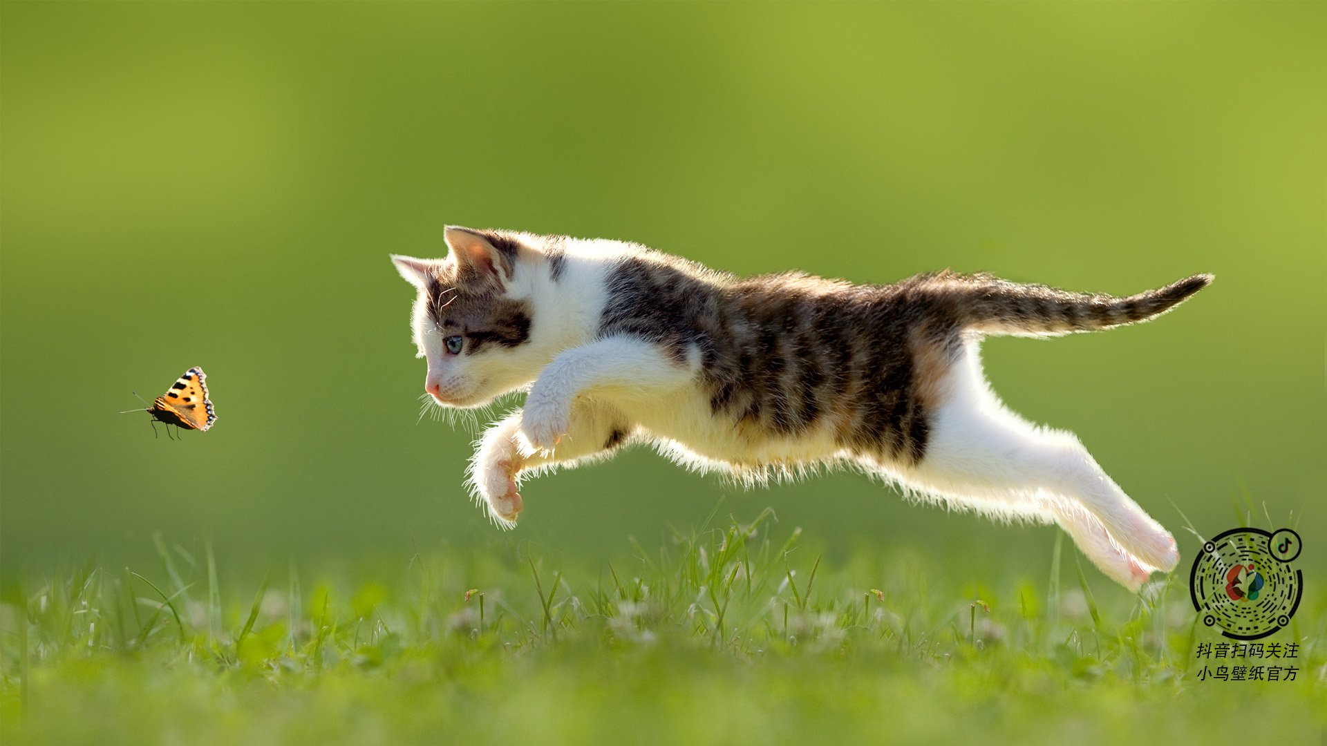 欧洲杯传奇故事：那些永远动人的比赛片段，2021年欧洲杯故事