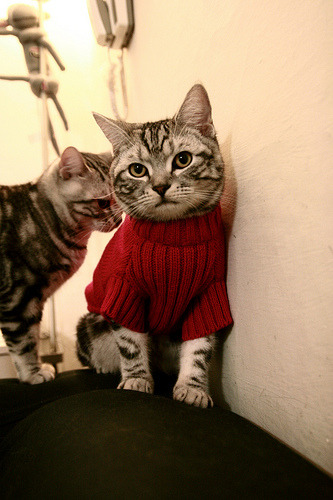 开云网站-裁判组全程高标准执法比赛节奏控制精准到位，裁判员严格执法